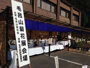 �����܂䂸�����I